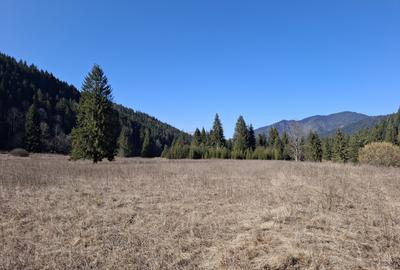 Teren Intravilan | Schitu Tarcău | 2089MP | Izvor | Platou - 2