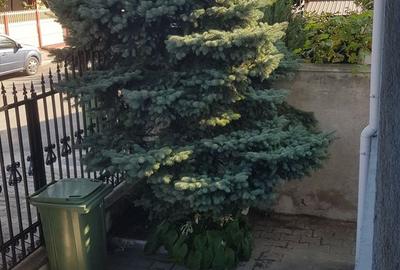 Techirghiol-vila deosebita D+P+1+M - 44