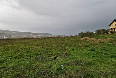 Trei parcele teren intravilan, PUZ, 600 mp, utilitai, Chinteni - 3