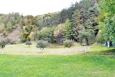 Teren superb de 16240mp, parcelabil, in Bran la intrare in Moeciu de Jos - 17