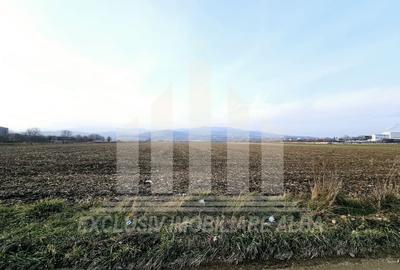 Teren intravilan | De vanzare | 780 mp | 30 ml deschidere | Partos - 3