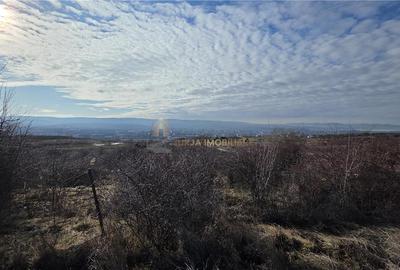 TEREN INTRAVILAN 590 MP  | 2 FRONTURI 17 MP | ZONA CARTIER  VORONET - 3