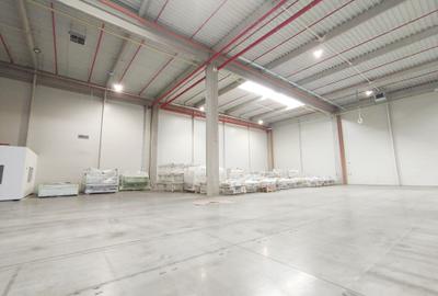 Hala productie depozitare sau logistica - 6