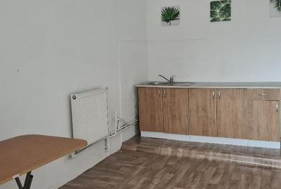 HALA 1500 mp Calea Chisinaului 6 Iasi - 4