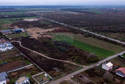 Vanzare teren intravilan 10.000mp Afumati - Strada Teiului - 6