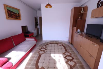 Apartament cu 1 camera in apropiere de Complexul Studentesc. - 1