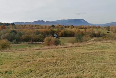 Teren in Sohodol-Bran - 7