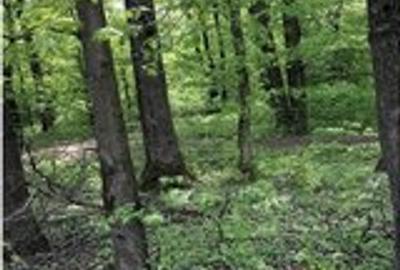 Teren Construcții intravilan de 600 mp, în Băneasa