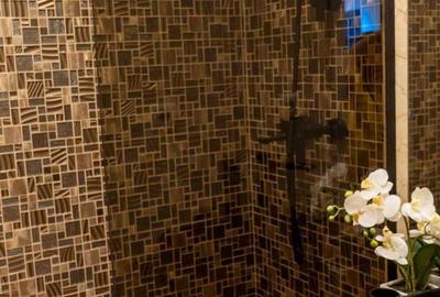Apartament LUX UltraCentral - Natiunile Unite / Unirii - 8