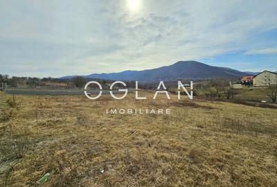 Teren cu PUZ si utilitati, Cisnadie, COMISION 0% - 3