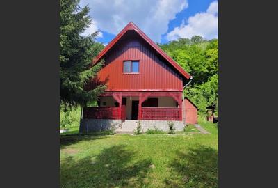 Proprietate Unică în Inima Naturii - Galaoaia, Mureș - 1