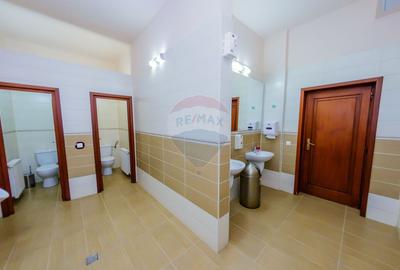 REFUGIU MONTAN CU FARMEC AUTENTIC - DE VANZARE - 11