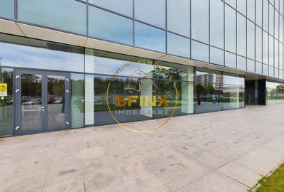 Birou, 2920 mp în Splaiul Independenței