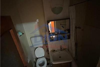 APARTAMENT 2 CAM, DRISTOR BABA NOVAC - 15