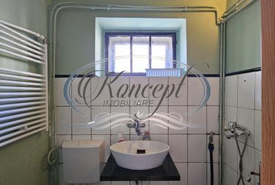 Birou la parter, acces stradal, zona Platinia - 10