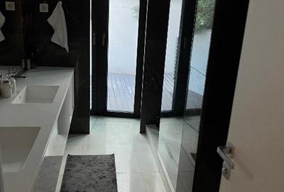 Duplex Primaverii - Charles de Gaulle - 9