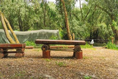 Pensiune, Afacere la cheie in Delta Dunării, Uzlina - 8