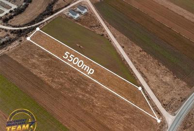 Teren Construcții intravilan de 5500 mp, în Exterior Est