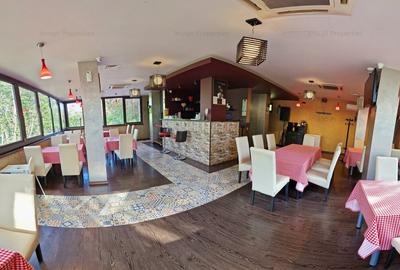 Oportunitate de investitie restaurant in Parcului Tineretului - 2