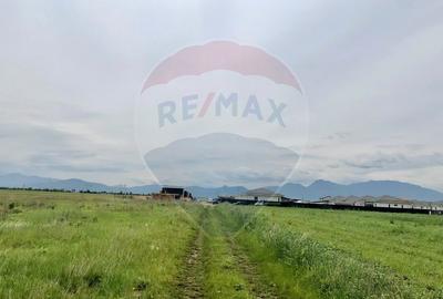 Comision 0% | 4 Parcele 538mp | Harman, Strada MIHAIL SADOVEANU - 7