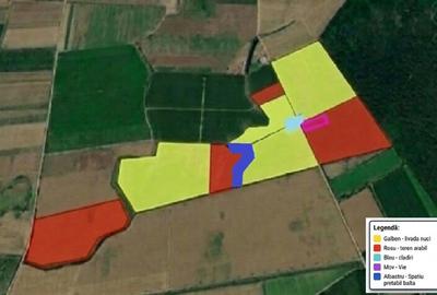 Livadă de nuc: Afacere agricolă cu potențial ridicat – 74,9 ha irigate - 1