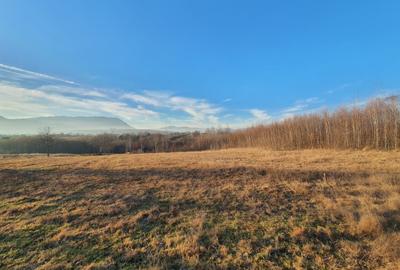 Teren intravilan Bran – Sohodol zona de case - 6