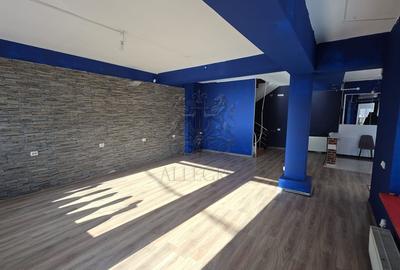 Vila Individuala | Putul Lui Zamfir - Dorobanti | 2002 | 238 mp utili - 7