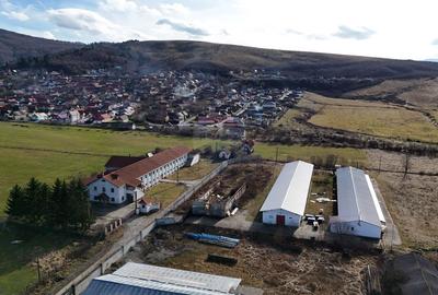 Teren industrial 1.729 mp I Demolare + construcție hală Teliu - 10