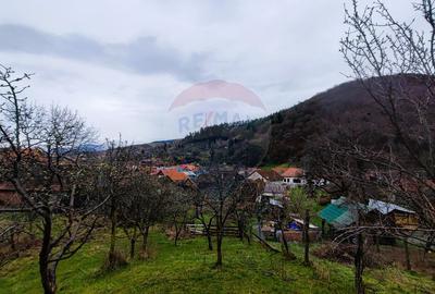 Casă cu farmec tradițional în Săliște – 1.000 mp teren, priveliște! - 2