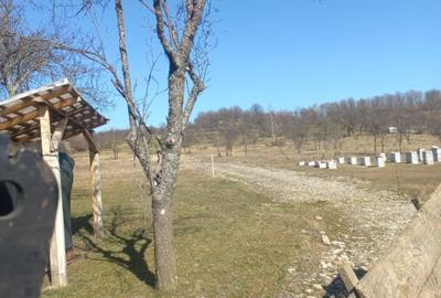Vind teren intravilan in com .Corbi  sat Poinarei  jud.Arges, - 3