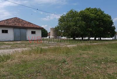 Ferma complet utilată – 30 ha teren comasat cu 11.500mp grajduri renovate Timiș - 8