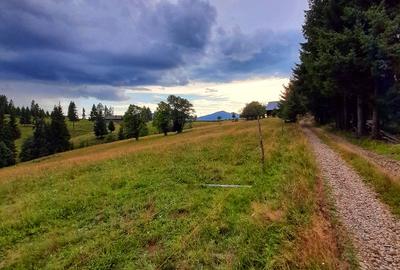 Teren intravilan 25 de arii, Piatra -Fantanele,1200€ pe arie - 1