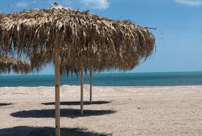 Studio cu vedere la mare | AXXIS | Mamaia Nord - 1