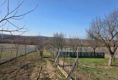 Gospodarie cu atelier si livada de vanzare in Felcheriu, Bihor - 17