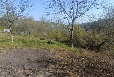 Teren cu vedere superbă in natură - 2