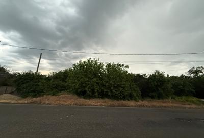 Teren 1000 mp Adunații-Copăceni (Dărăști-Vlașca)-Giurgiu - 17