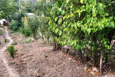 Proprietate în zonă de deal în localitatea Zărnești, la 20km de orașul Buzău - 11