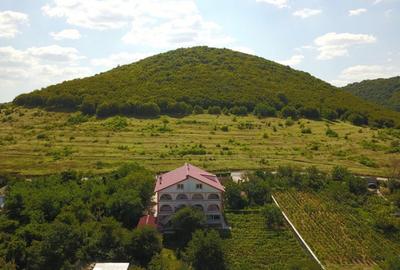 OPORTUNITATE VILA-PENSIUNE-HOTEL-CLINICA-CLADIRE ADMINISTRATIVA - 15