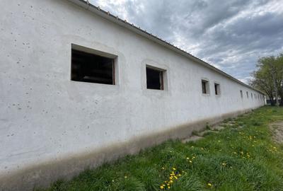 Hala Industrială / Agricolă | 800 MP Construcție + 800 MP Teren | - 9