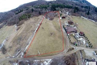 Teren Intravilan Rasnov Zona Glajarie Pozitie Deosebita - 6