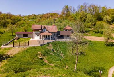Casă / Vilă Sesuri, jud Hunedoara - 25