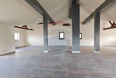 Vilă de vânzare în Berceni, teren 1161 mp | Oportunitate investiție - 12