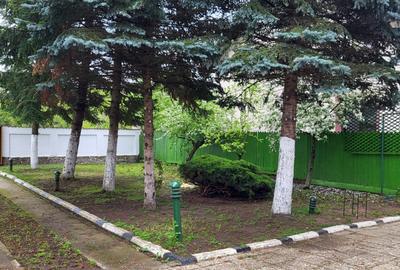 Refugiul tău verde, aproape de oraș la Snagov - 14