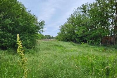 Snagov Teren de vânzare – oportunitate cu potențial investițional intre case - 6