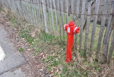 Teren de vanzare in Valea Doftanei 7000 mp - intravilan - 2