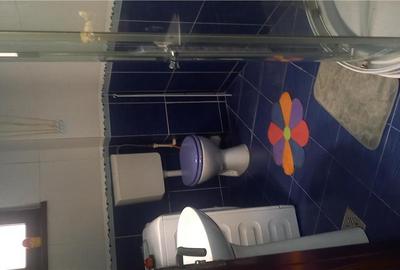 Apartament 2 camera CUG - 350 EURO - 12