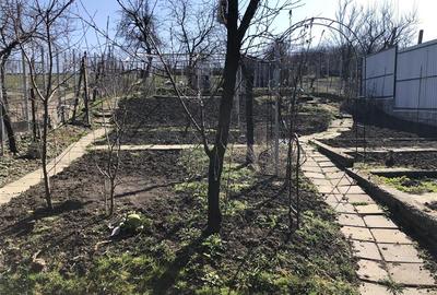 De vanzare casa langa Targu Mures - 11