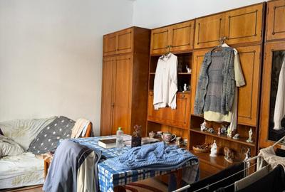 Apartament la casa,cu o camera,parcare,gradina - 3