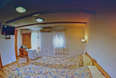 De vanzare Pensiunea Casa Delta,8 camere, situata pe Dunarea Veche, langa Lebada - 5