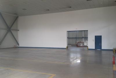 Showroom cu Spațiu de Depozitare — 700 mp | Otopeni - 3